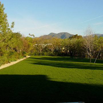 Gray Fox Dr