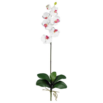 Phalaenopsis Silk Orchid Flower With Leaves, 6 Stems