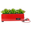 4 Port, Red Succulent Charging Station