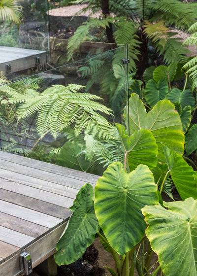 Tropical by Landscaping New Zealand