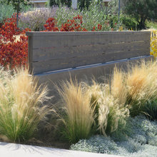Curb Appeal