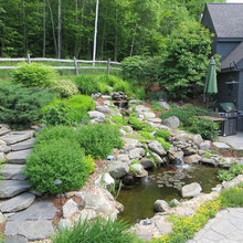 Pond