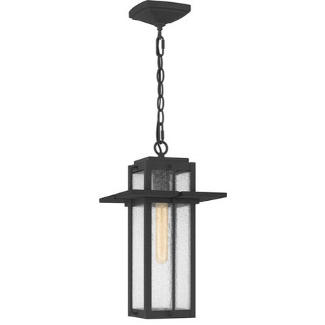 Randall 1-Light Outdoor Hanging Lantern in Mottled Black