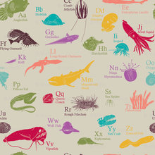 fabric