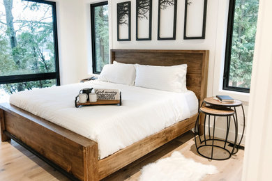 Bedroom - contemporary bedroom idea in Toronto