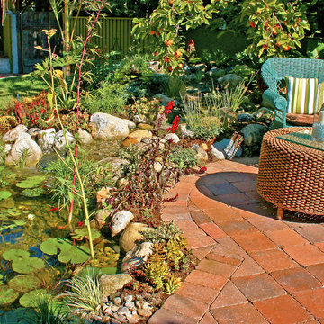 Lush Pond With Variety of Plant Life