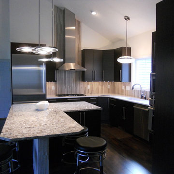 Contemporary Kitchens