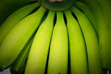 Green bananas on a street fair in Brazil