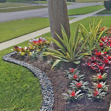 Florida Yard