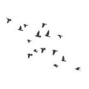 Jen Knapton's photo