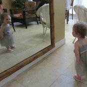 Amanda Lee's photo