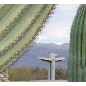 Mildred Ellison's photo