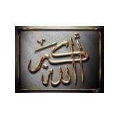 Saba Naveed's photo