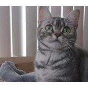 Anne Johnson-Petrul's photo