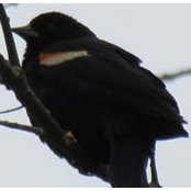 Foto von Jacquelyn Esposito