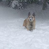 Terri Long's photo