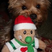 Julie Posts foto