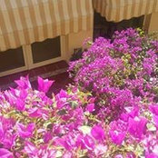 Foto von Divona Compoundjeddah