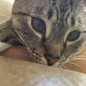 Whitney Crosby's photo