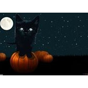 Kathleen Gallucci's photo