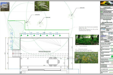 Restoration & Replanting Plan