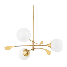 Mid Century Favorites
