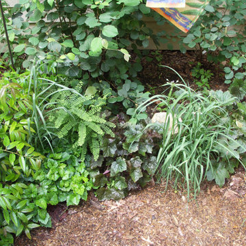 Native Plants and Planting Palettes