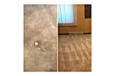 Before & After Carpet Stain Removal in Willow Grove, PA