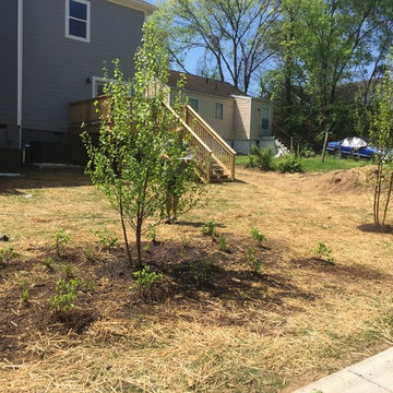 2016 Landscaping