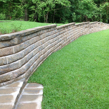 Betzel Project