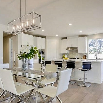 Model home staging - Vista CA 2019