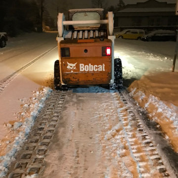 Snowplowing & salting