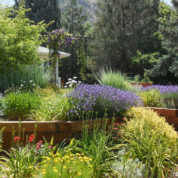 Urban Meadow