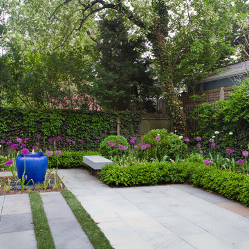 Brooklyn Ditmas Park Garden Consultation / Design $ 500
