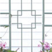 Garden Wall