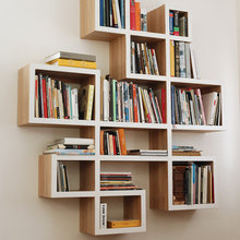Larcian Renovation Shelves + Storage