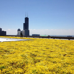 Omni Green Roof - Products