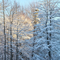 Morning Snow - Artwork