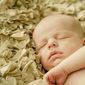 Foto di Kelly Scanlon-Frederick