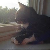 Brandi Flyte's photo