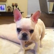 Phil Merola's photo