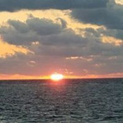 Carol Mackoul's photo