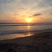 Andy Castillo's photo