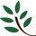 laurel_bend