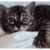 Julie Worne's photo