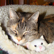 Lorraine Dooley's photo