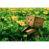 Star Lolli's photo