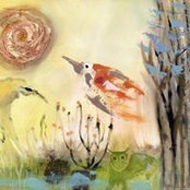 Susan Howard's photo