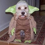 Tom Sessions's photo