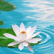 Photo de Helen Flaherty